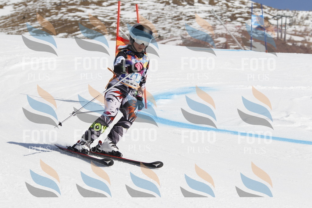 _U3G9847 | holidayphoto