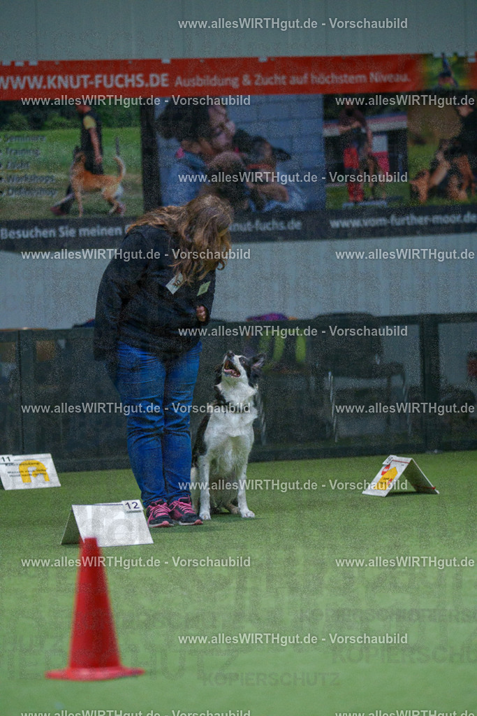 7R501404 | Professionelle Tierfotografie in Mönchengladbach von Daniel Wirth (allesWIRTHgut). Liebevolle & natürliche Bilder von Hunden & Katzen für unvergessliche Erinnerungen.