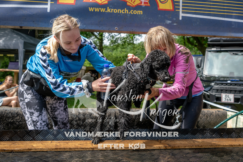 1103_ZZ92563 | kk-dogfotos