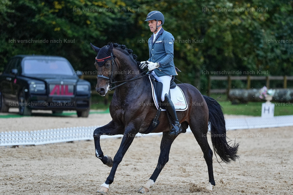 8_2-102-DRESSUR S_  -StoibPH-4458 | working equitationturnier fotograf videograf stoibphotography marixx film working equitation deutschland reitsport turnierfotografie eventfotografie equestrian events