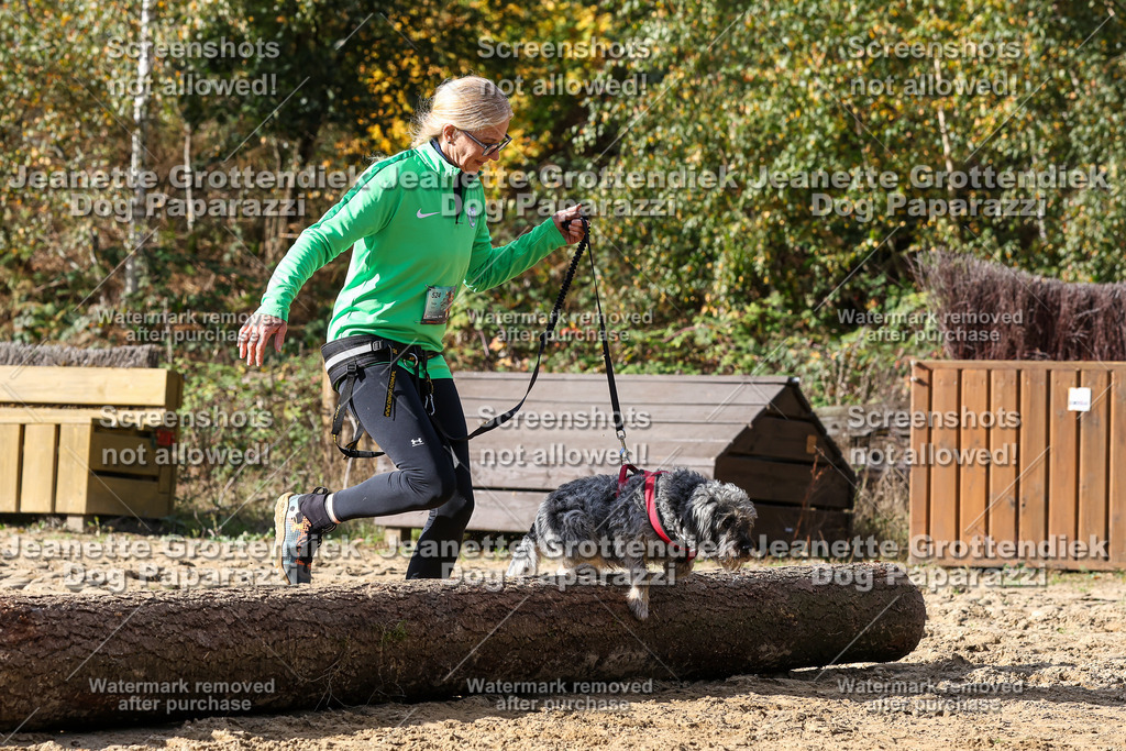 Dog Paparazzi - Strongdog 10-25-5260 | Dog Paparazzi Jeanette Grottendiek Fotografie & Videografie - Realisiert mit Pictrs.com