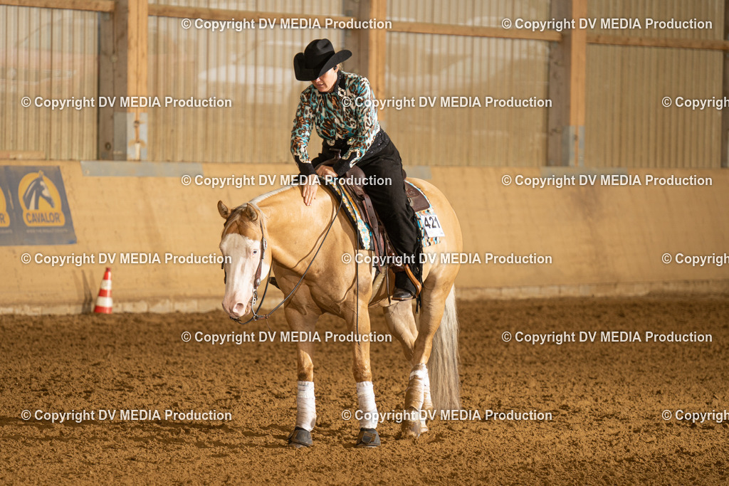 LAU00293 | dv-media-shop - Realisiert mit Pictrs.com