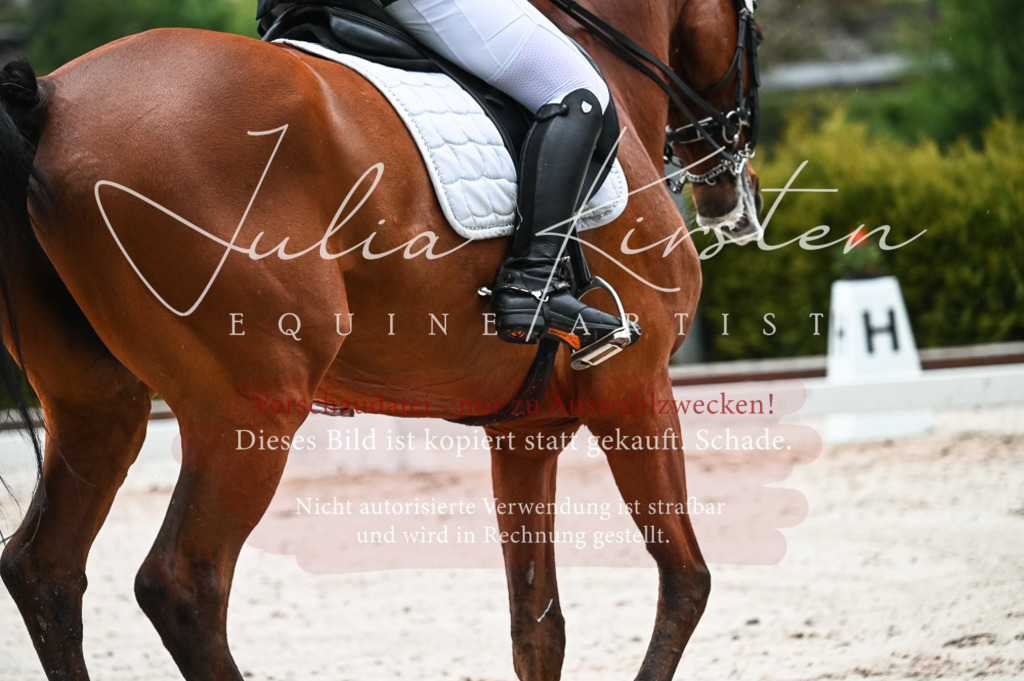 DSC_4399 | Pferde- und Turnierfotografie in Westsachsen. Pferdeportraits, Auftragszeichnungen und intuitive Kunst.