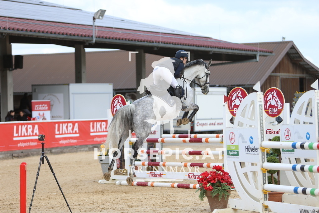 DL2Q9473 | Willkommen bei Brunnmayr - Design & Fotografie – Ihrem Spezialisten für Reitturniere und Pferdeveranstaltungen in Oberösterreich, Salzburg und Bayern! Seit über 17 Jahren sind wir leidenschaftlich dabei.