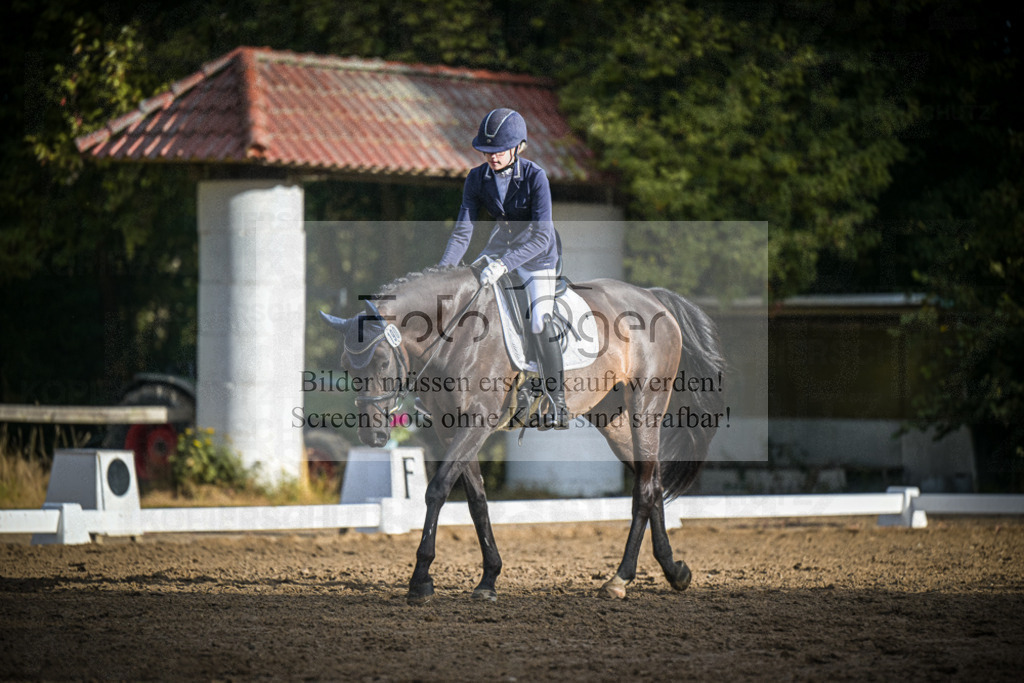 DOS_0893 | Entdecke hochwertige Reitturnierfotos von Foto Oger. Professionell, emotional und authentisch – jetzt Lieblingsmomente im Shop bestellen.Deutschlandweite Turnierfotografie. - Realisiert mit Pictrs.com