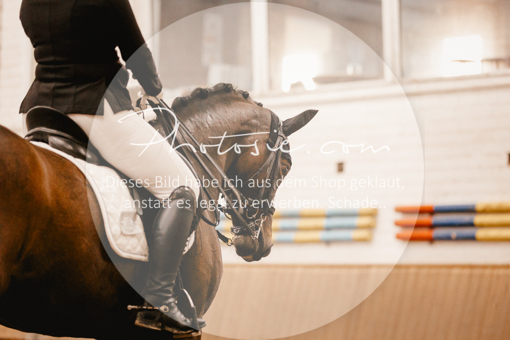 3I6A6995 | Stimmungsvolle Portraits und Reitsportfotografie im Ruhrgebiet und im Münsterland.

Pferdefotografie, Hundefotografie, Tierfotografie, Reportagen, Portraits von Tier und Mensch, Turnierfotografie in Bochum, Recklinghausen, Marl, Haltern am See, Dülmen.. - Realisiert mit Pictrs.com