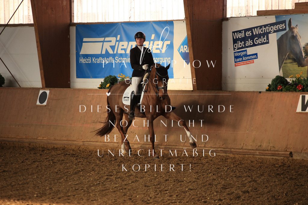 IMGT0334 | pl-fotografie