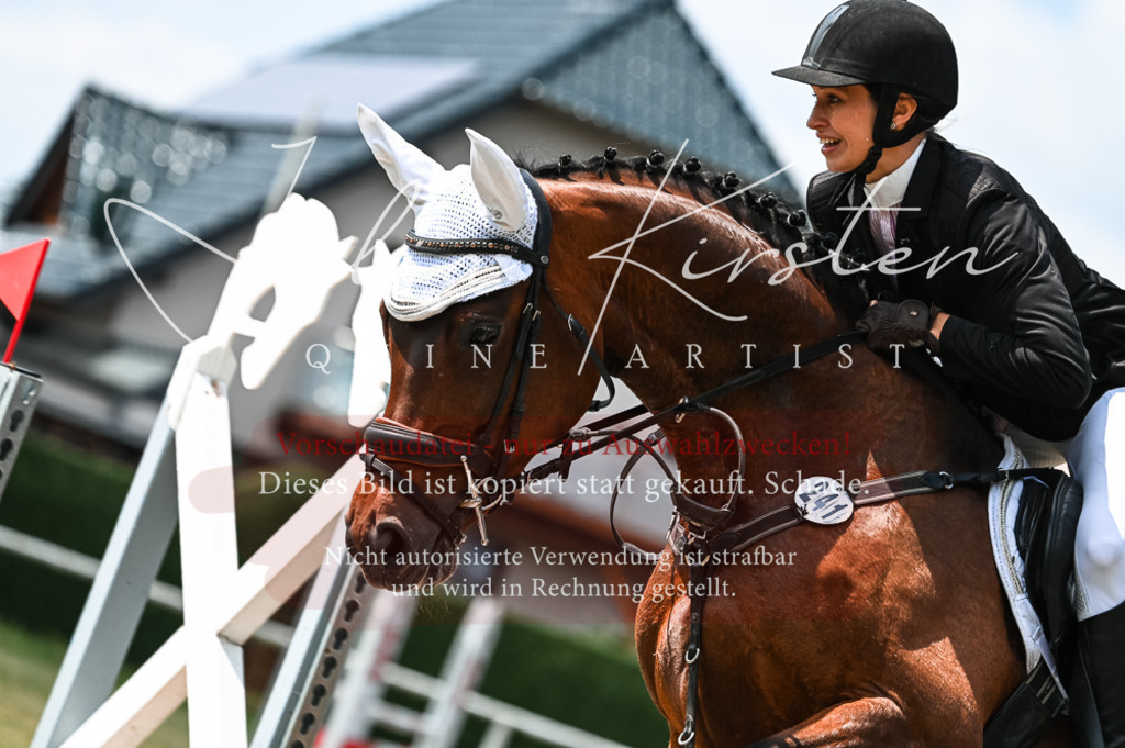 DSC_9386 | Pferde- und Turnierfotografie in Westsachsen. Pferdeportraits, Auftragszeichnungen und intuitive Kunst.