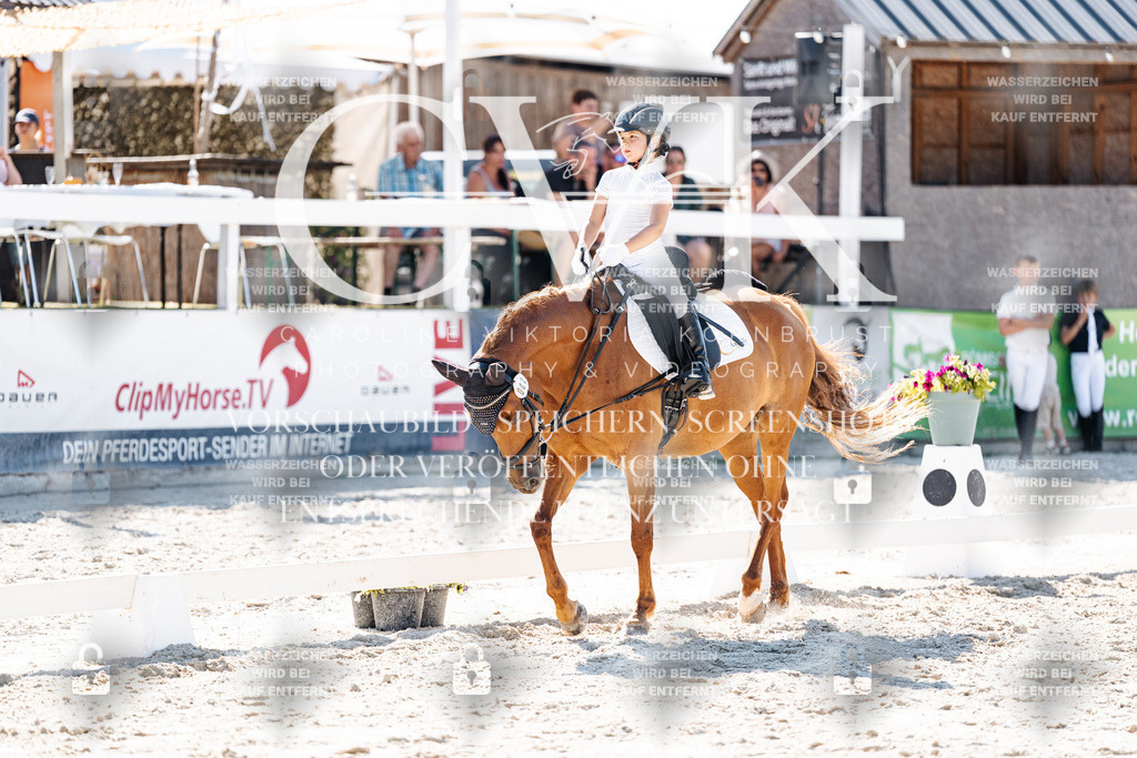 CK903321 | Turnierfotografie Pferdefotografie Trier Rheinland-Pfalz Pferdesport Reitsport Tierfotografie Sportfotografie Pferdevideo Pferdevideografie Equestrianvideography equestrianphotography  - Realisiert mit Pictrs.com