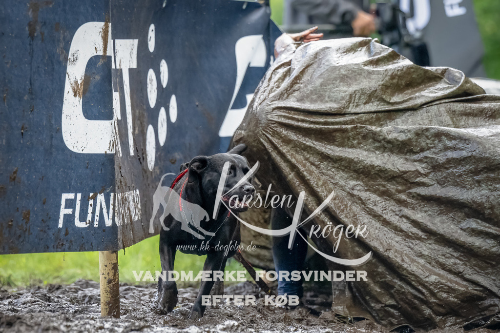 1155_ZZ90249-Bearbeitet | kk-dogfotos