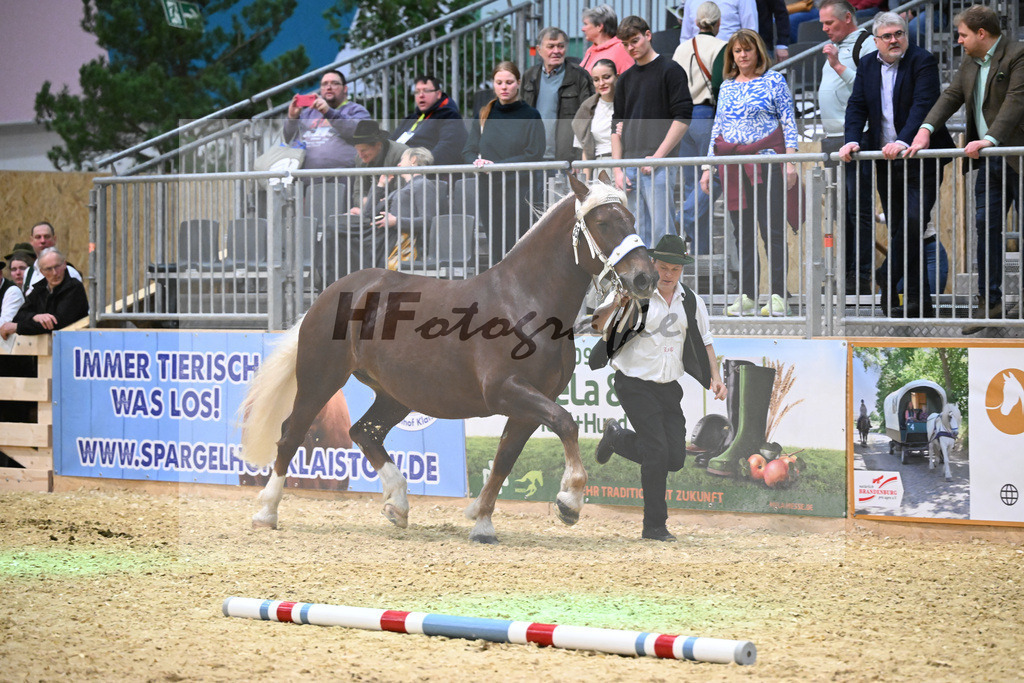 Kat-Nr. 35 Marie v. Sribery_Hoeck_1260522 | hf-fotografie - Realisiert mit Pictrs.com