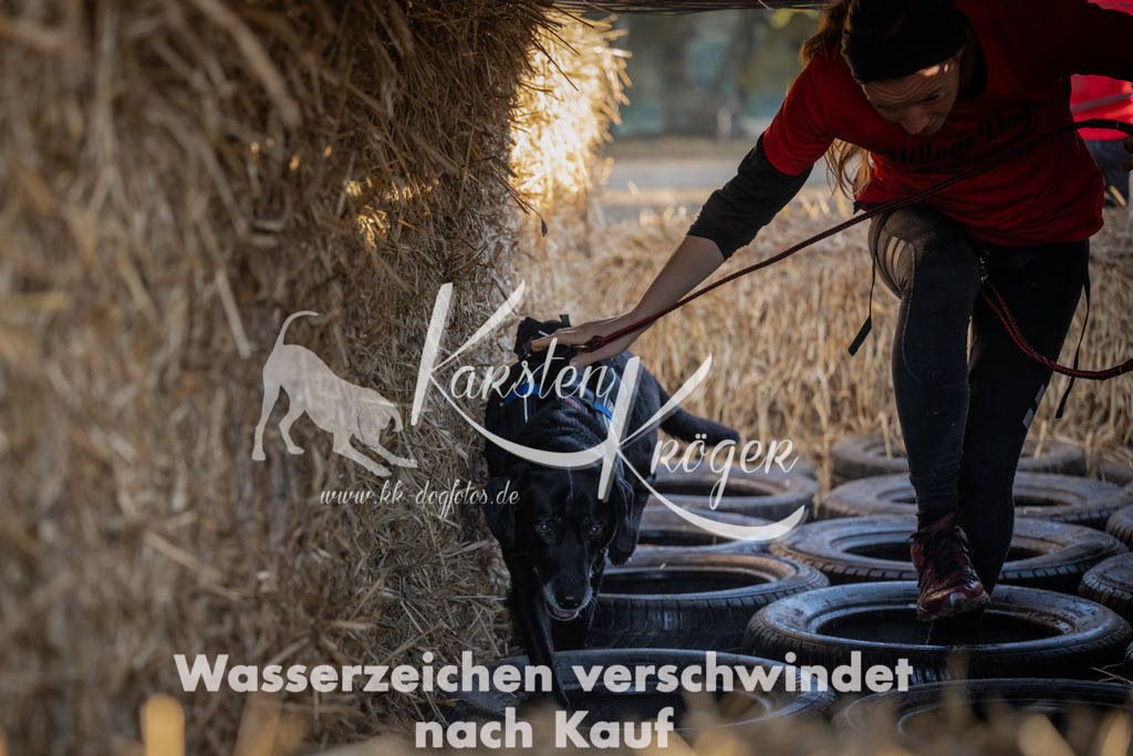 0939_ZZ94128 | kk-dogfotos