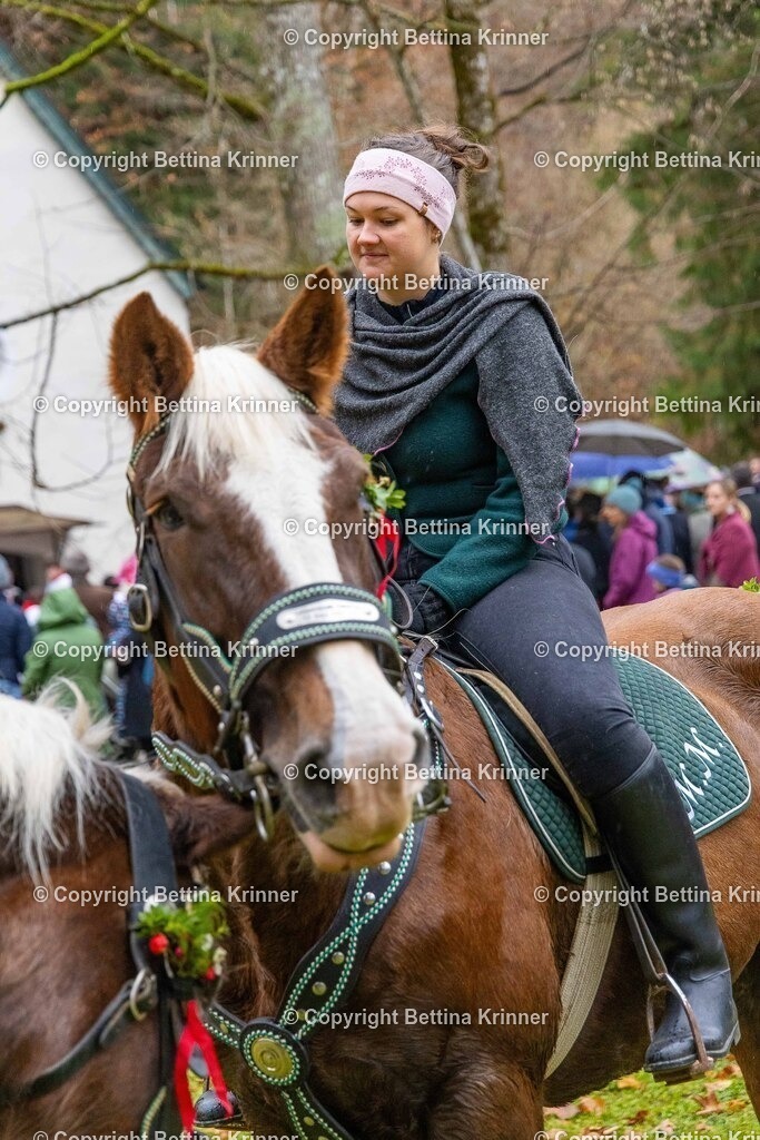 LL25-191 | foto-bettina-krinner - Realisiert mit Pictrs.com