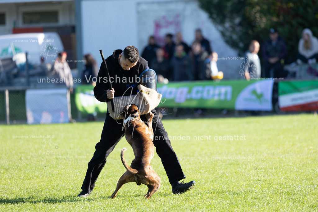 _16A5024 | Einzigartige Fotos von Hunden & Menschen –Actionfotos, Portraits, Vereinsaufnahmen & Paarshootings – authentisch, lebendig & mit Herz.