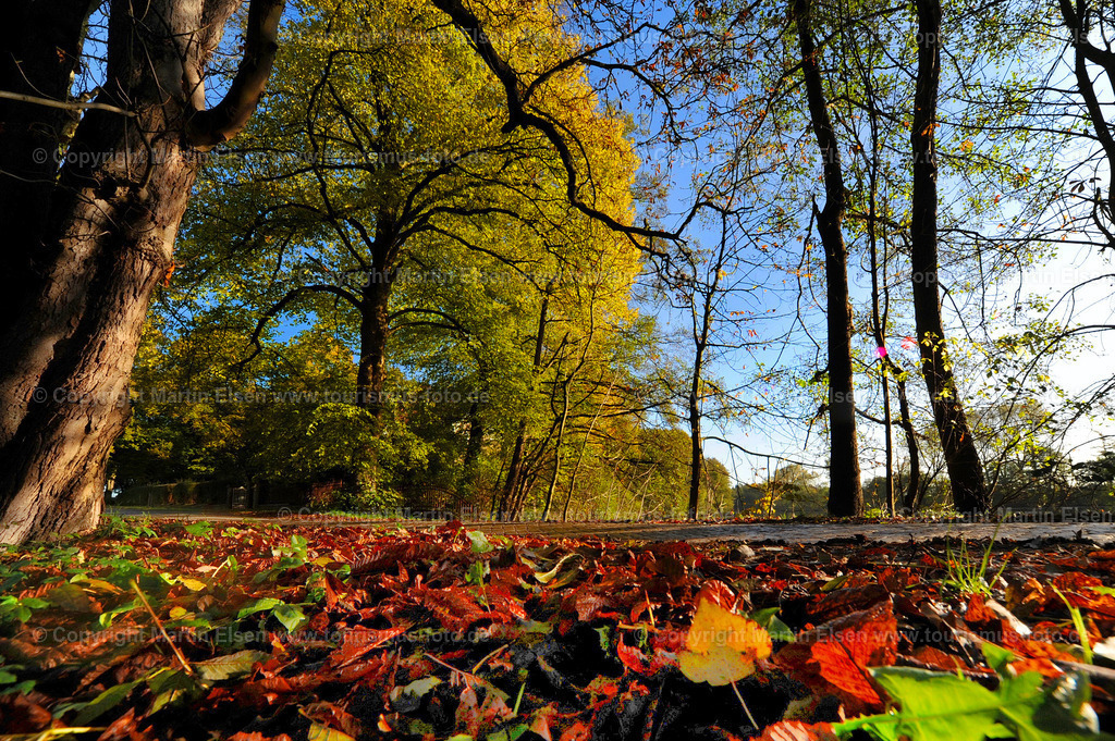 Hagen_ELS_693190697a | Hagen - Aufnahmedatum: 26.10.2010, Aufnahmehöhe:  m, Koordinaten:  - , Bildgröße: 4256 x  2832 Pixel - Copyright 2010 by Martin Elsen, Kontakt: Tel.: +49 157 74581206, E-Mail: info@schoenes-foto.deSchlagwörter: - Realisiert mit Pictrs.com