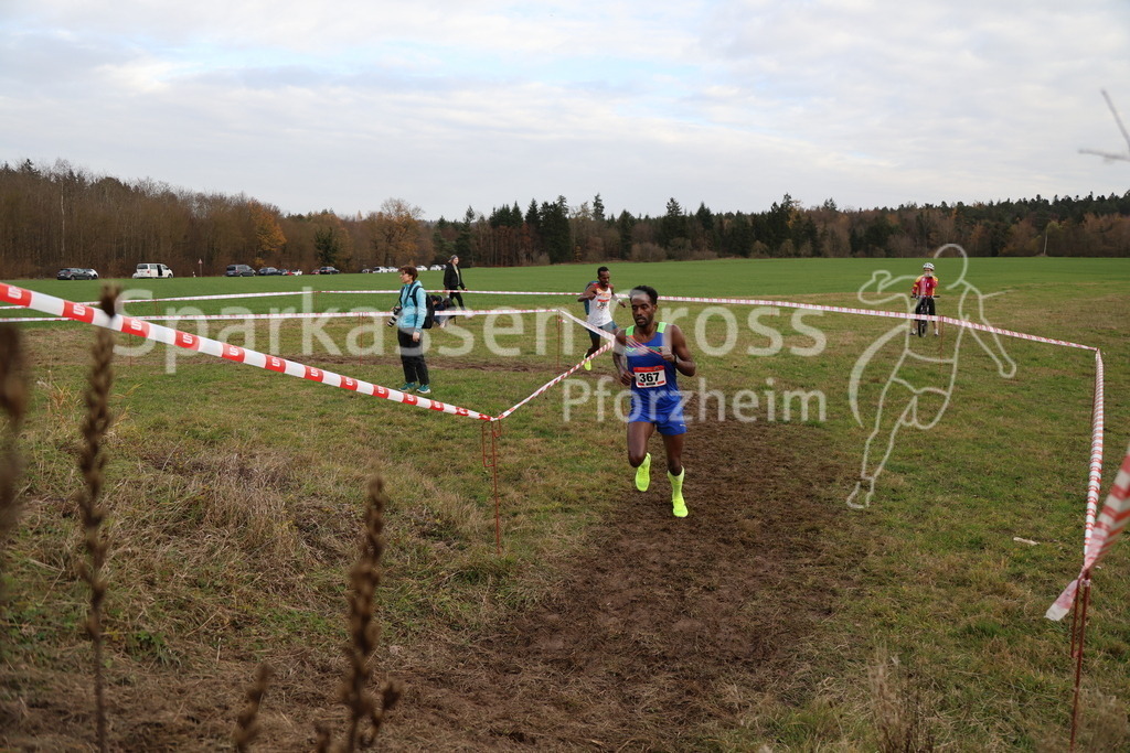 IMG_4894 | sparkassencross