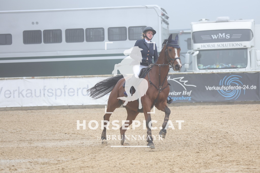 0P6A0436 | Willkommen bei Brunnmayr - Design & Fotografie – Ihrem Spezialisten für Reitturniere und Pferdeveranstaltungen in Oberösterreich, Salzburg und Bayern! Seit über 17 Jahren sind wir leidenschaftlich dabei.