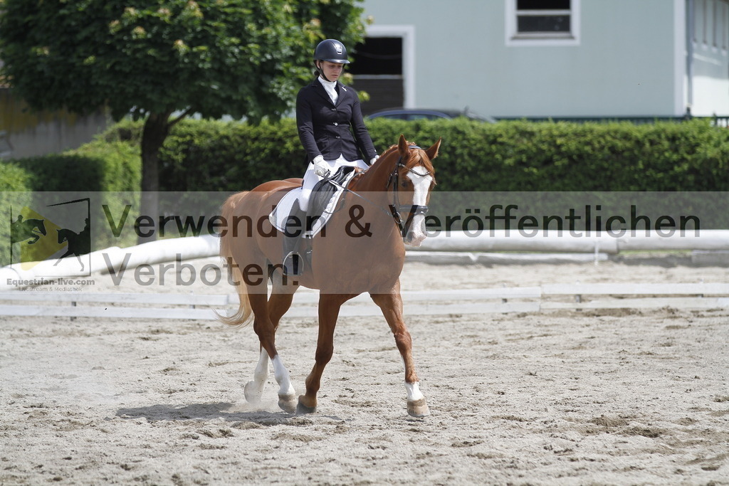 _MG_8662 | equestrian-live-com