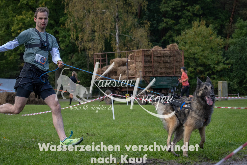 1421-94813 | kk-dogfotos