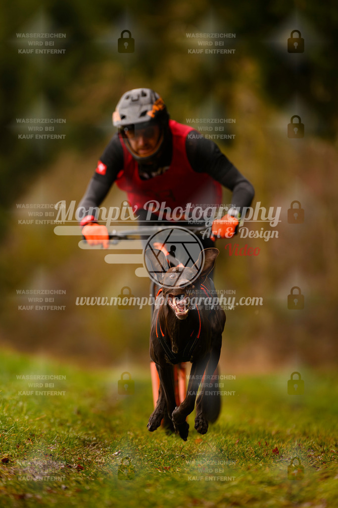 MompixPhotography_2SSTSSBW_2025_SO_Scooter-2 | PayLife