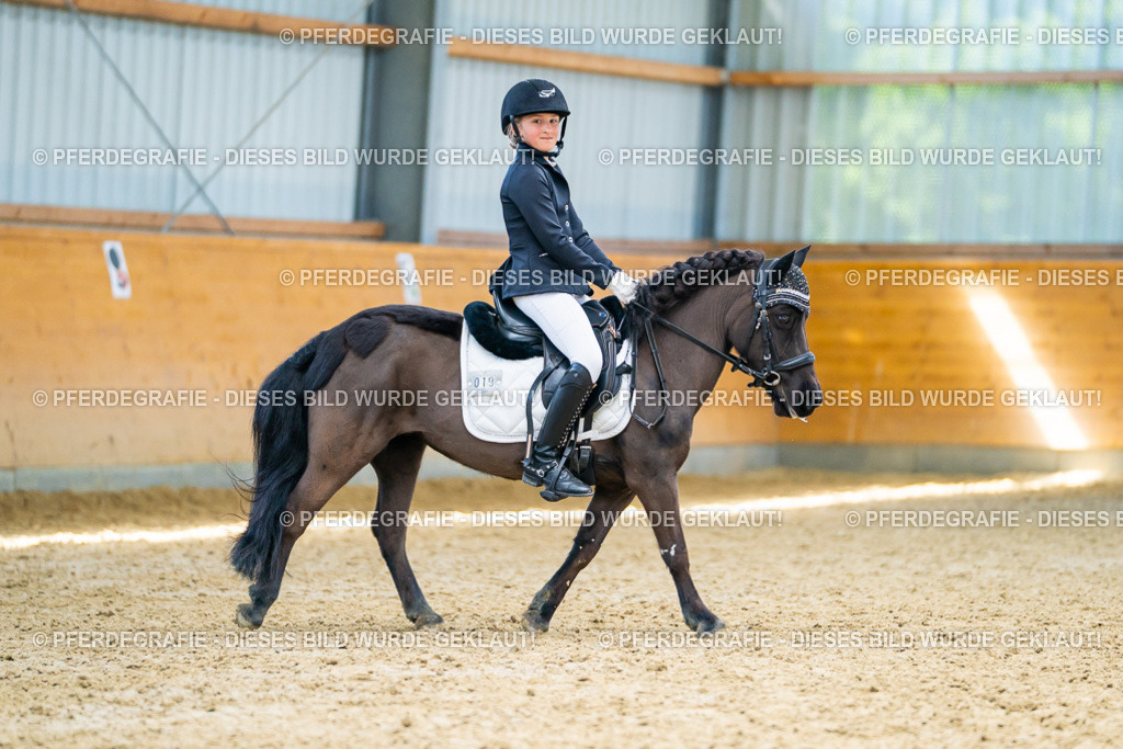 DSC09071 | Pferdegrafie