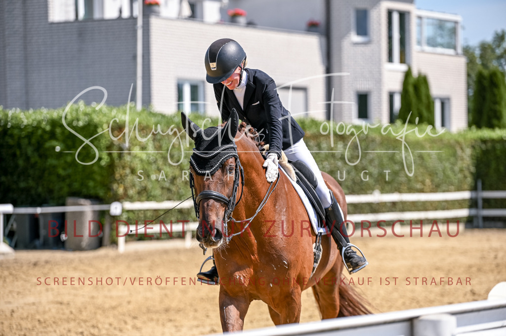 Schugtsche-Aluta25-52.Dressurprf.M2Kand-551 | Schugtsche Fotografie - Realisiert mit Pictrs.com