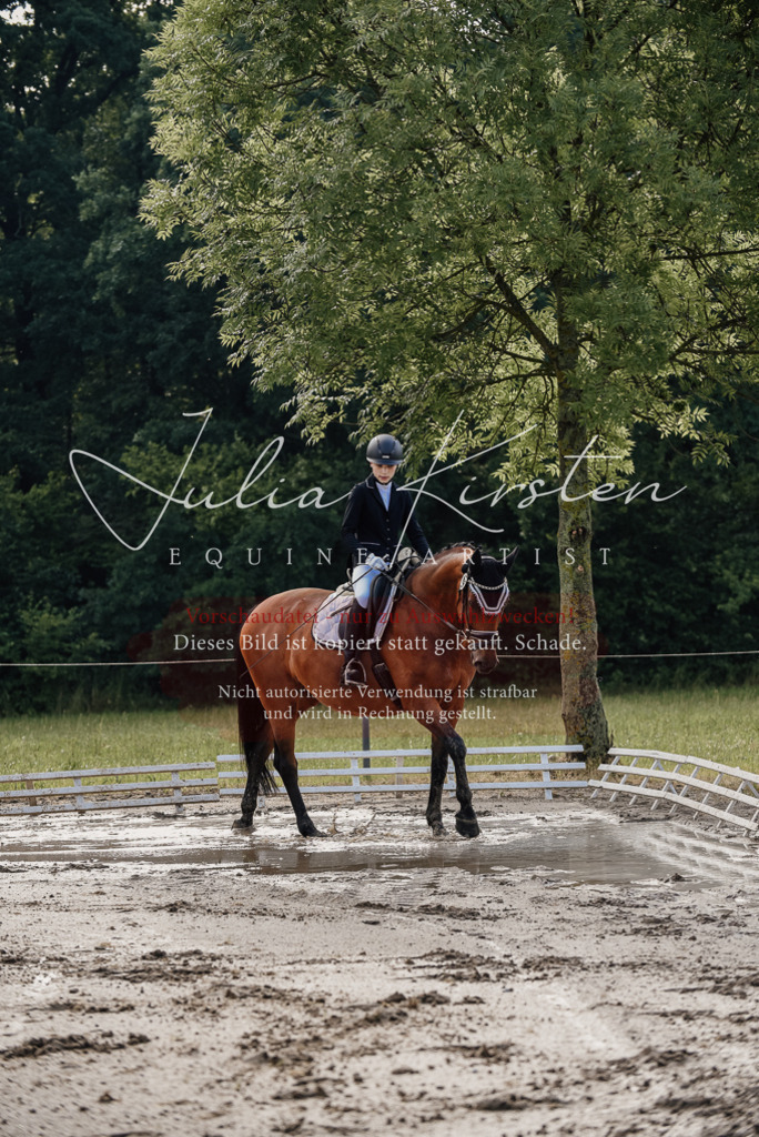 DSC_8093 | Pferde- und Turnierfotografie in Westsachsen. Pferdeportraits, Auftragszeichnungen und intuitive Kunst.