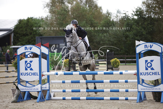 1J2A0251Stefanie Clausen-Kestermann_ Fridakaholo_ Kn462_ Havekost | Foto- und Videografie für alles rund ums Pferd. Hochwertige Bilder und Videos vom Spring- und Dressurreiten, Voltigieren & mehr. Jetzt aktuelle Veranstaltungen und Preise im Shop ansehen. - Realisiert mit Pictrs.com