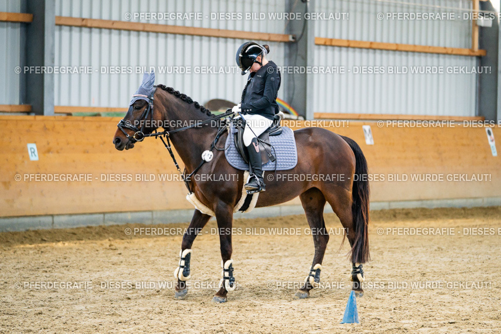 DSC00883 | Pferdegrafie