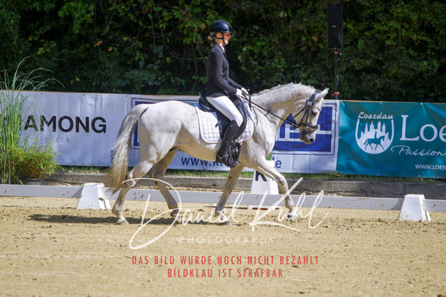 DKP41960 | Turniersportfotografie; Pferdefotografie; Dressurfotografie