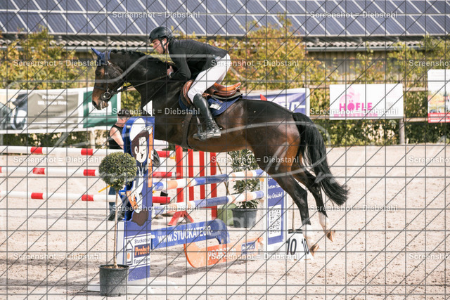 _W6A2218 | ronjaprokoschfotografie - Realisiert mit Pictrs.com