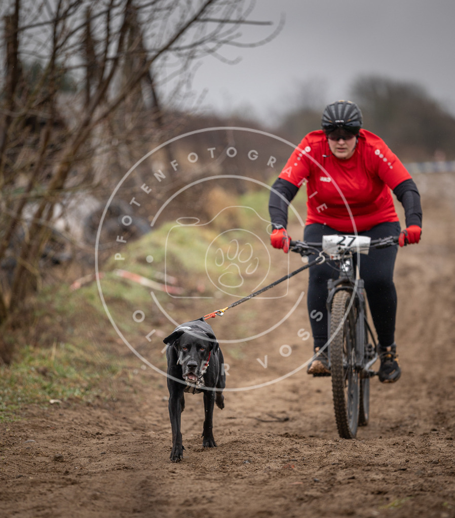 DV3A9030 | Hundefotografie, Tierfotograf, Pfotenfotografie, Fotoshooting Hund, Hunde Portrait, Hundesport, Hundeportraits, Heideshooting, Hunde, Sportfotograf, Hundefotograf, Turnierhundsport, THS,  - Realisiert mit Pictrs.com