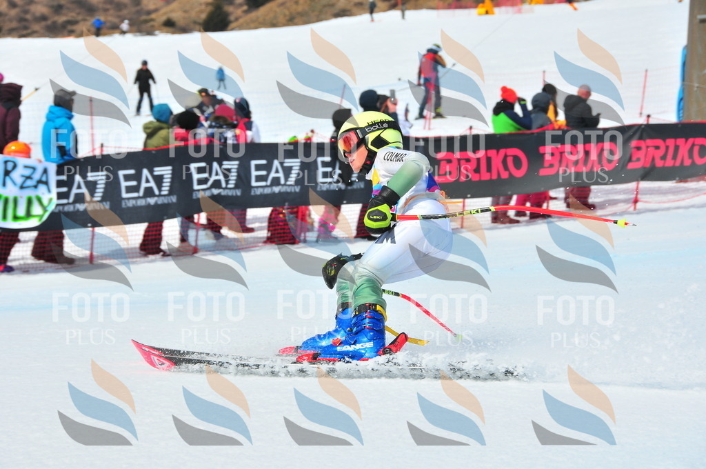 DSC_5767 | holidayphoto