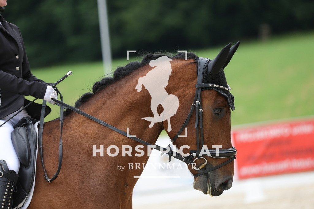 0P6A7490 | Willkommen bei Brunnmayr - Design & Fotografie – Ihrem Spezialisten für Reitturniere und Pferdeveranstaltungen in Oberösterreich, Salzburg und Bayern! Seit über 17 Jahren sind wir leidenschaftlich dabei.