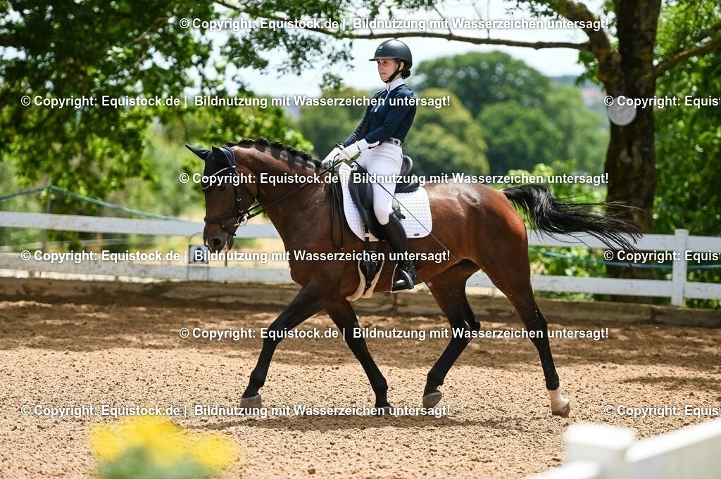 20230716_03_Dressurprfg. Kl.L - Tr._0263 | equistock