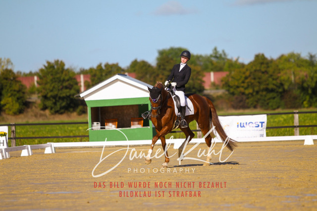 DKP44969 | Turniersportfotografie; Pferdefotografie; Dressurfotografie