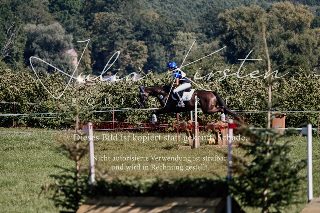 DSC_1675 | Pferde- und Turnierfotografie in Westsachsen. Pferdeportraits, Auftragszeichnungen und intuitive Kunst.