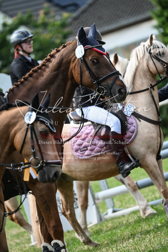 DSC_8676 | Pferde- und Turnierfotografie in Westsachsen. Pferdeportraits, Auftragszeichnungen und intuitive Kunst.