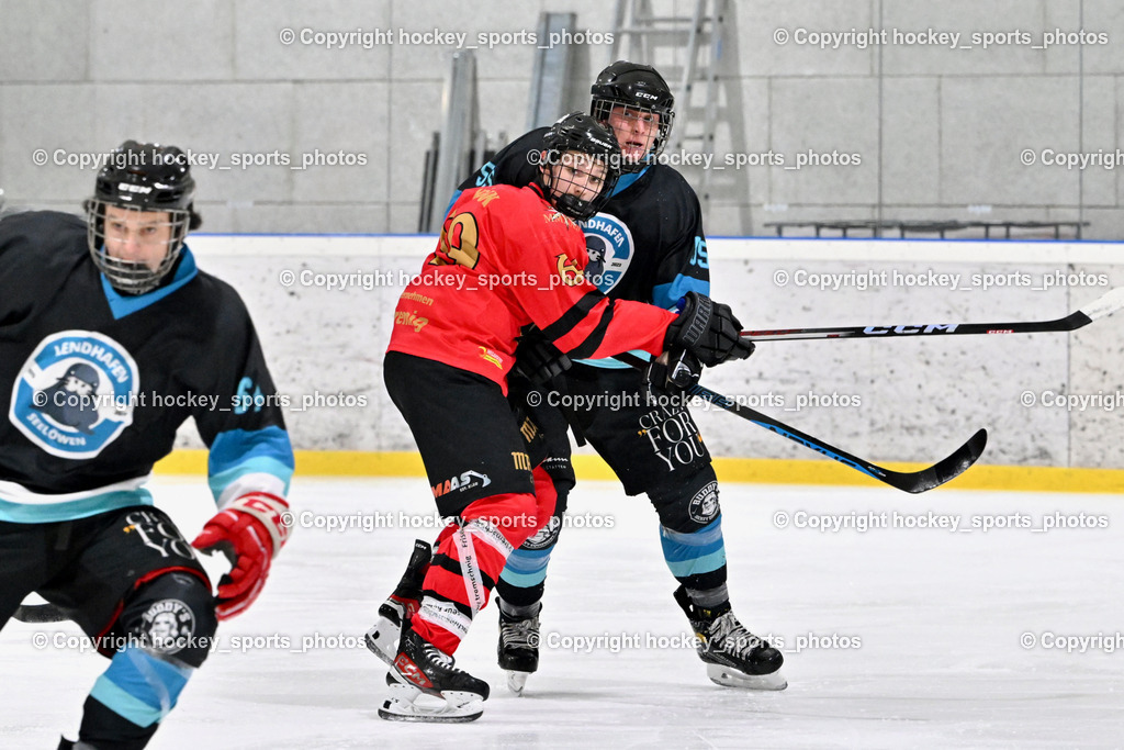 Lendhafen Seelöwen vs. Spartans Althofen | #69 Köck Jakob Spartans Althofen, #55 Widnig David Lendhafen Seelöwen, Lendhafen Seelöwen vs. Spartans Althofen, Lendhafen Seelöwen vs. Spartans Althofen am 14.02.2025 in Ferlach (HTC Eishalle Ferlach), Austria, (Photo by Bernd Stefan)