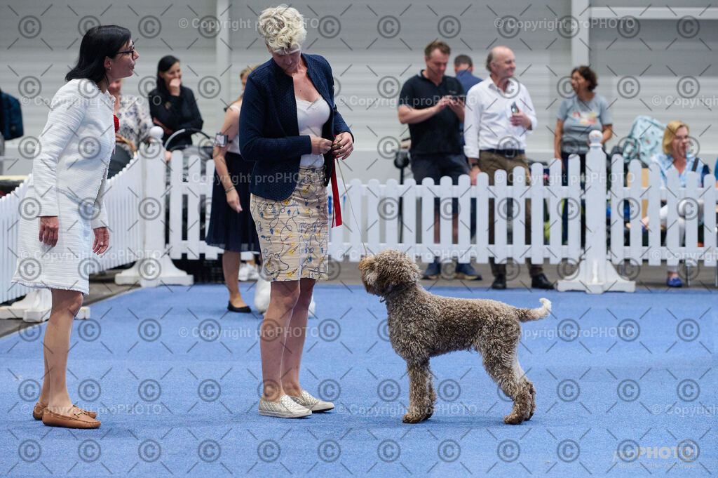 202406_ÖKV-IHA-Tulln24_DSC_5122 | proPHOTO - Realisiert mit Pictrs.com
