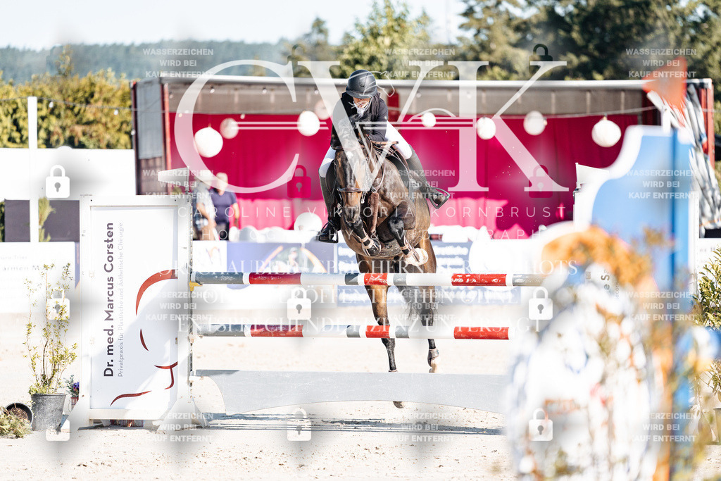 CK904515 | Turnierfotografie Pferdefotografie Trier Rheinland-Pfalz Pferdesport Reitsport Tierfotografie Sportfotografie Pferdevideo Pferdevideografie Equestrianvideography equestrianphotography  - Realisiert mit Pictrs.com