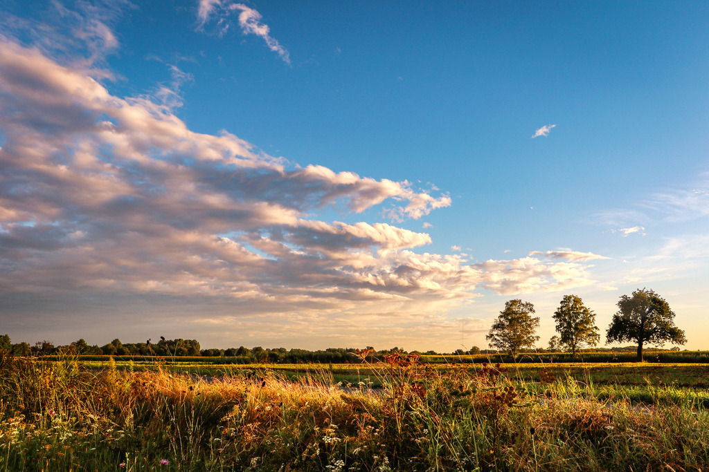 Abendstimmung im Sommer | fotografie-bernd-pfalzgraf - Realisiert mit Pictrs.com