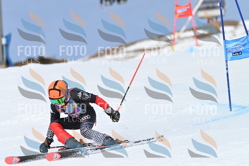 BGV_2890 | holidayphoto