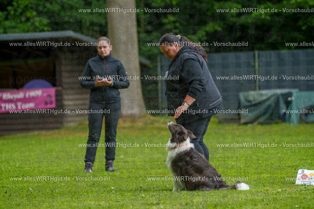 @allesWIRTHgut_Tierfotografie - www.allesWIRTHgut.de - 7R503473 | Professionelle Tierfotografie in Mönchengladbach von Daniel Wirth (allesWIRTHgut). Liebevolle & natürliche Bilder von Hunden & Katzen für unvergessliche Erinnerungen.