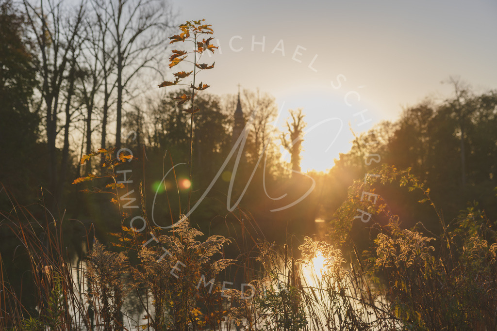 2024-10-29 Schloss Monrepos Herbst 040 | Schwotte Media - Realisiert mit Pictrs.com