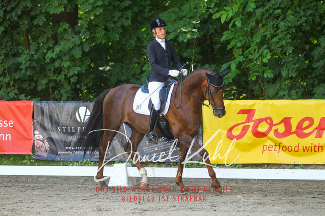 DKP42230 | Turniersportfotografie; Pferdefotografie; Dressurfotografie