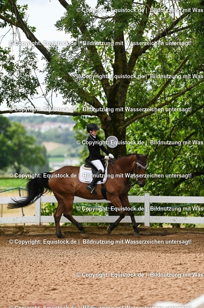 20230716_10-1_Reiter-WB Schritt - Trab - Galopp_0100 | equistock