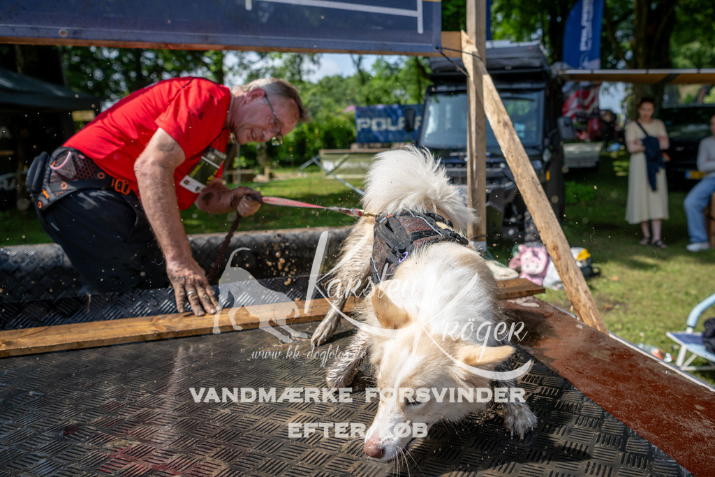 1145_ZZ94900 | kk-dogfotos