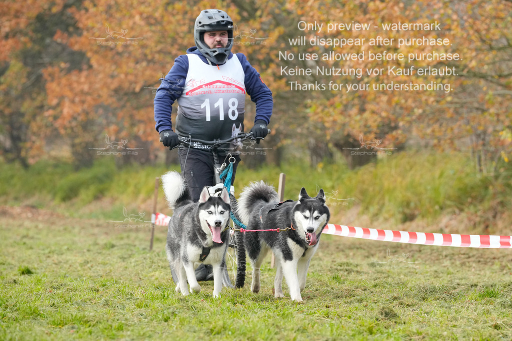 Visbeck_Sa_DS2DR2-160 | stephaniefillaphotographie - Realisiert mit Pictrs.com