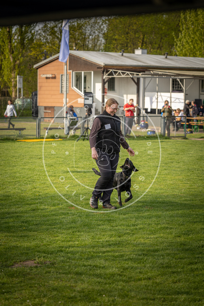 Pfotenfotografie_DV3A4754 | Hundefotografie, Tierfotograf, Pfotenfotografie, Fotoshooting Hund, Hunde Portrait, Hundesport, Hundeportraits, Heideshooting, Hunde, Sportfotograf, Hundefotograf, Turnierhundsport, THS,  - Realisiert mit Pictrs.com
